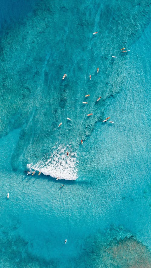 有关夏威夷, 无人机相机, 水的免费素材图片