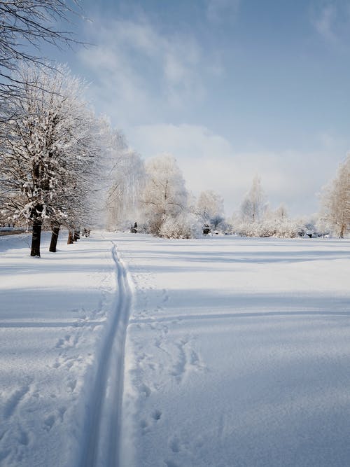 有关人行道, 冒险, 冬季的免费素材图片