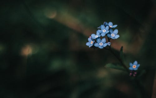 有关公园, 味道, 和谐的免费素材图片