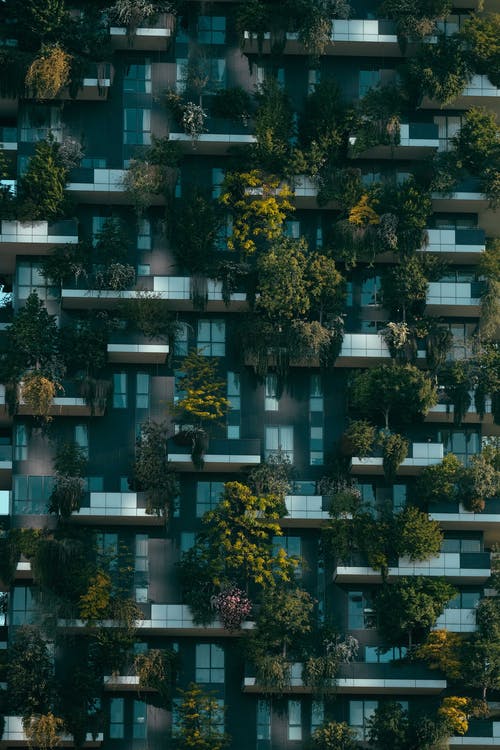 现代住宅建筑立面装饰着绿色的植物 · 免费素材图片