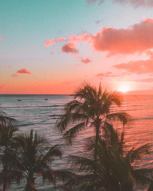 有关冲浪摄影, 城镇, 夏威夷的免费素材图片