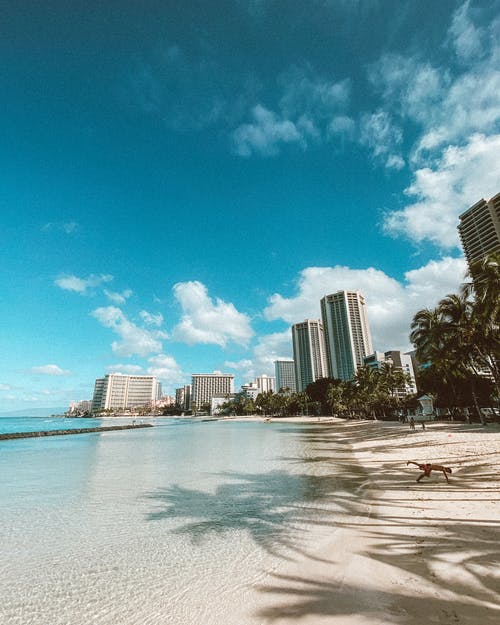 有关垂直拍摄, 城市, 夏威夷的免费素材图片