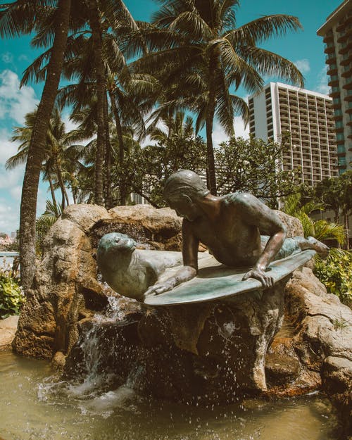 有关僧海豹, 喷泉, 垂直拍摄的免费素材图片