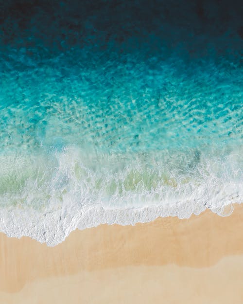 有关土耳其蓝, 夏天, 夏威夷的免费素材图片