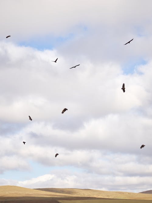 有关从下面, 低角度, 冷静的免费素材图片