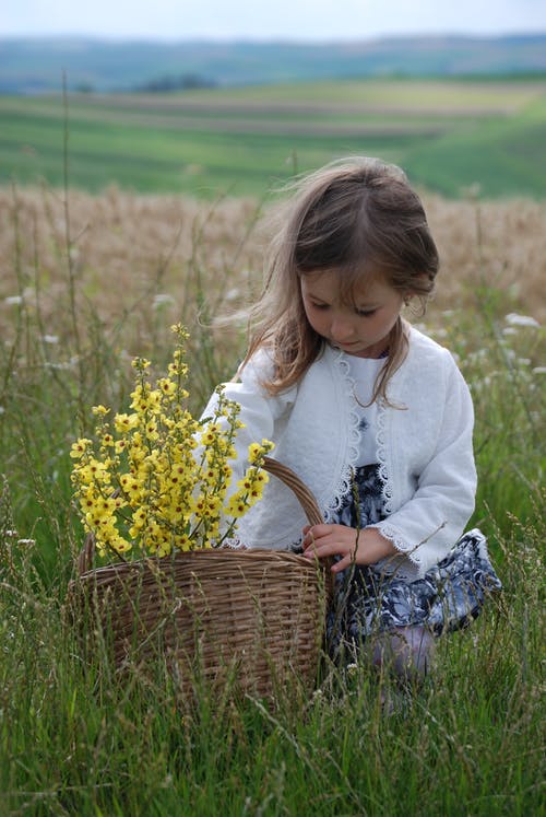 有关享受, 休息, 休闲的免费素材图片