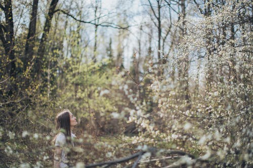 有关佩服, 侧面图, 公园的免费素材图片