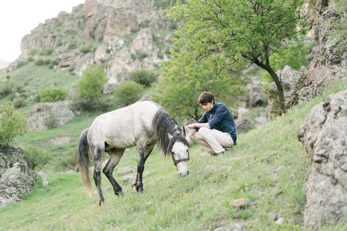 有关一起, 人, 休息的免费素材图片