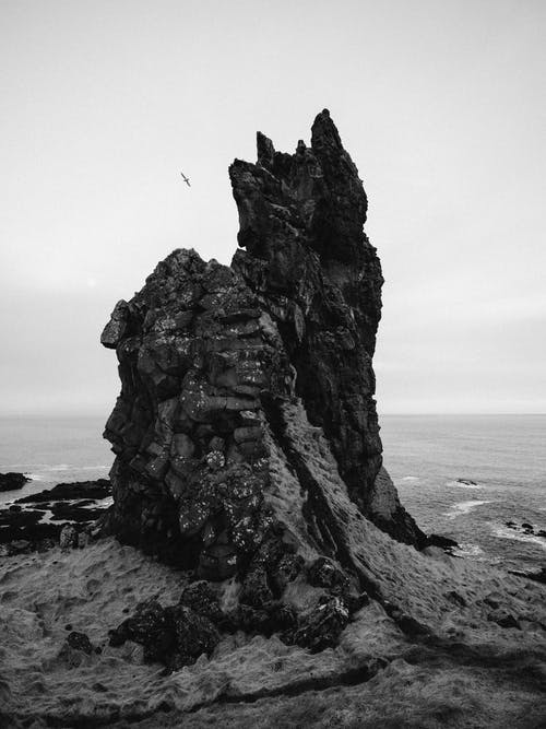 有关bw, 冷静, 华丽的的免费素材图片