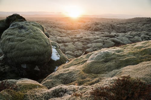 有关eldhraun, 冰岛, 冷静的免费素材图片