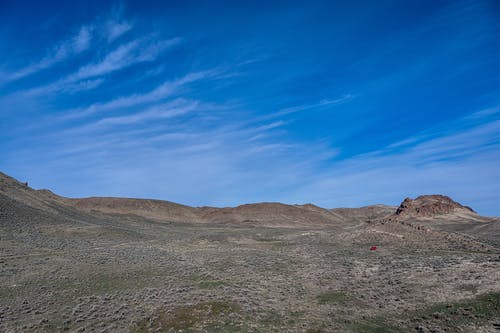 有关下午, 不均匀的, 乾的的免费素材图片
