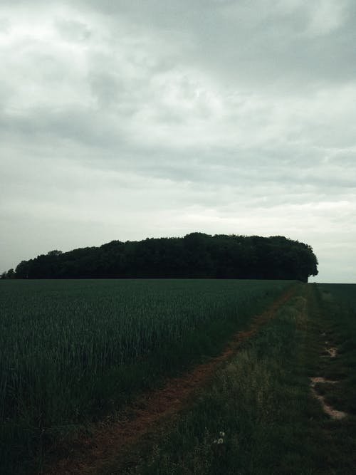 有关Copyspace, 冷静, 和平的的免费素材图片