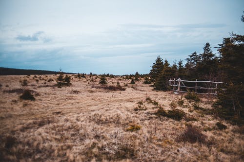 有关下落, 乾的, 冷静的免费素材图片