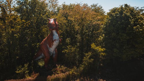 有关下落, 不均匀的, 个性的免费素材图片