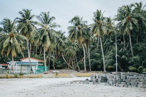 有关天性, 岛, 旅行的免费素材图片