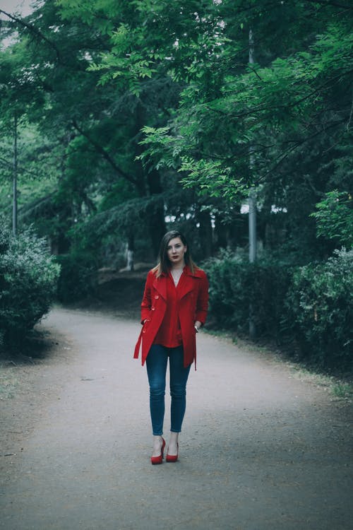 有关中景, 有吸引力, 漂亮的免费素材图片