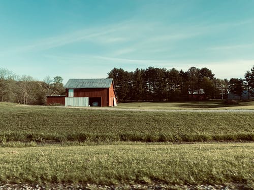 有关冷静, 原本, 地面的免费素材图片