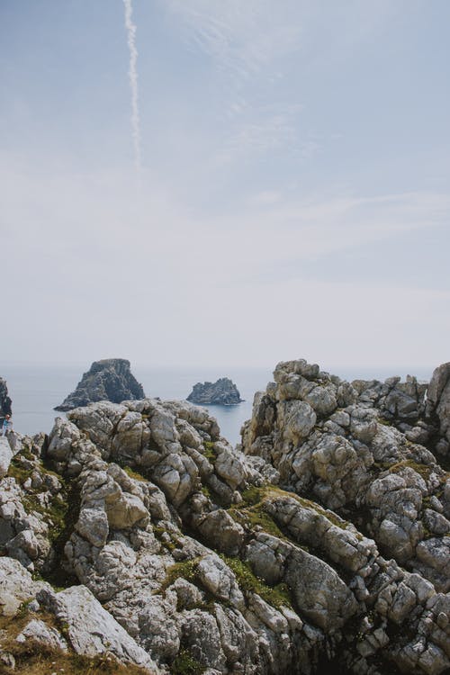 有关冷静, 华丽的, 和平的的免费素材图片