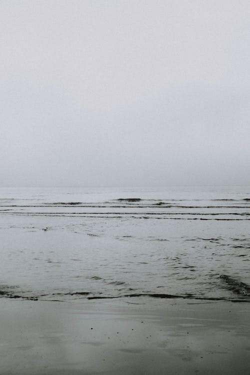 有关bw, 冷静, 和平的的免费素材图片