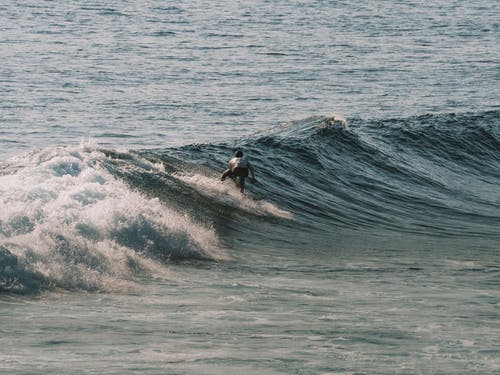 有关不亦樂乎, 休閒, 大浪的免费素材图片
