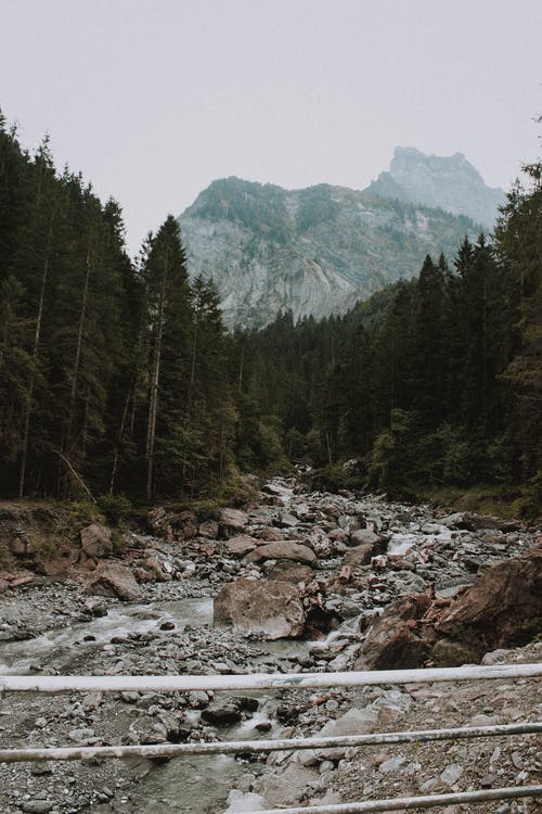 有关Copyspace, 冷静, 卵石的免费素材图片