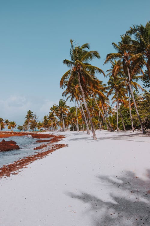 有关下午, 下落, 乾的的免费素材图片