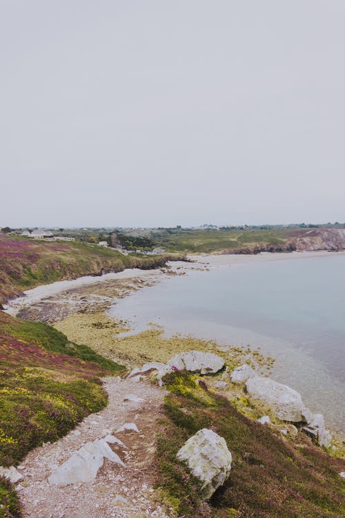 有关人行道, 充满活力, 冷静的免费素材图片