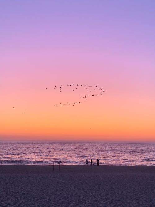 有关不露面, 冷静, 剪影的免费素材图片