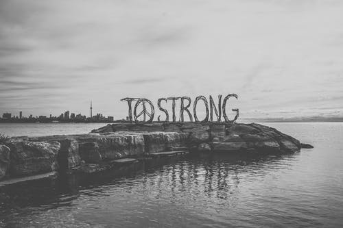 有关bw, ムイトフォルテ, 信的免费素材图片