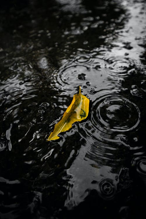 有关下雨, 天气, 水坑的免费素材图片
