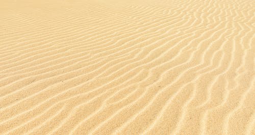 有关下午, 不均匀的, 乾的的免费素材图片