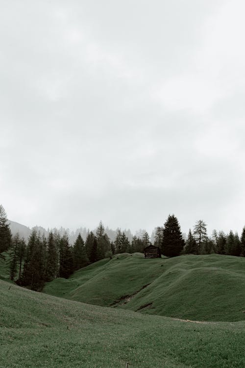 有关冷静, 和平, 和平的的免费素材图片