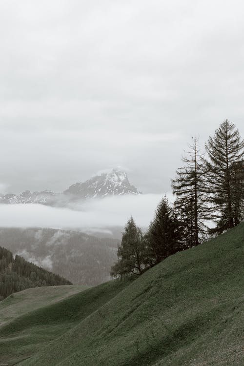 有关Copyspace, 冬季, 冷静的免费素材图片