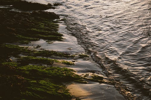 有关假日, 冷静, 华丽的的免费素材图片