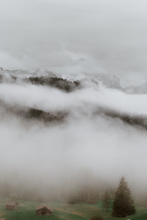 有关冷静, 和平的, 地形的免费素材图片