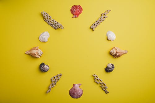 有关Copyspace, Flatlay, 一般开销的免费素材图片