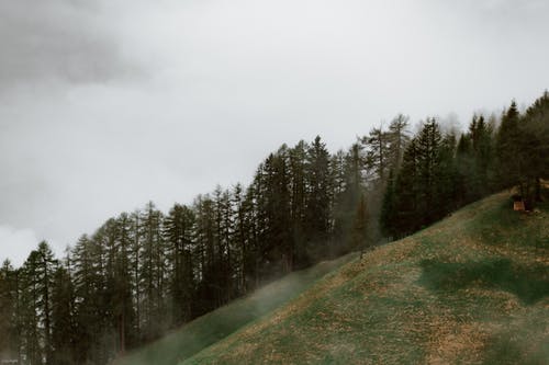 有关冷静, 和平, 土地的免费素材图片