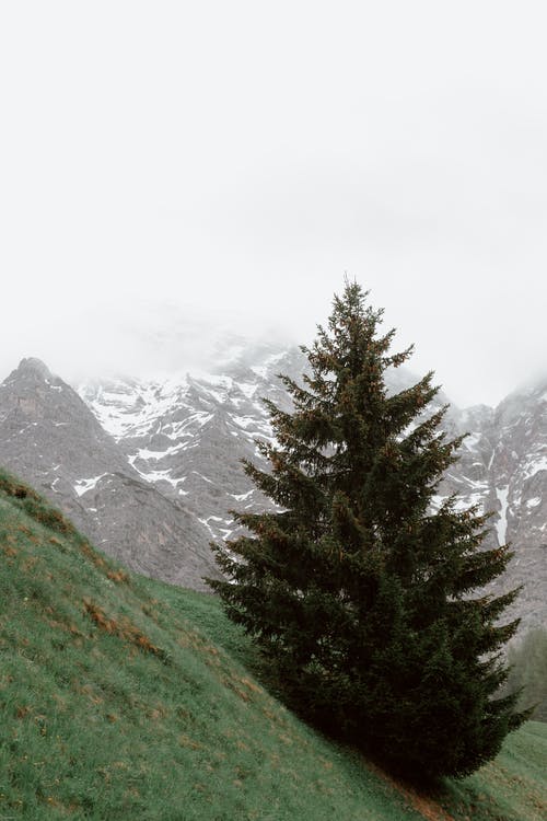 有关不变, 仙境, 冷静的免费素材图片