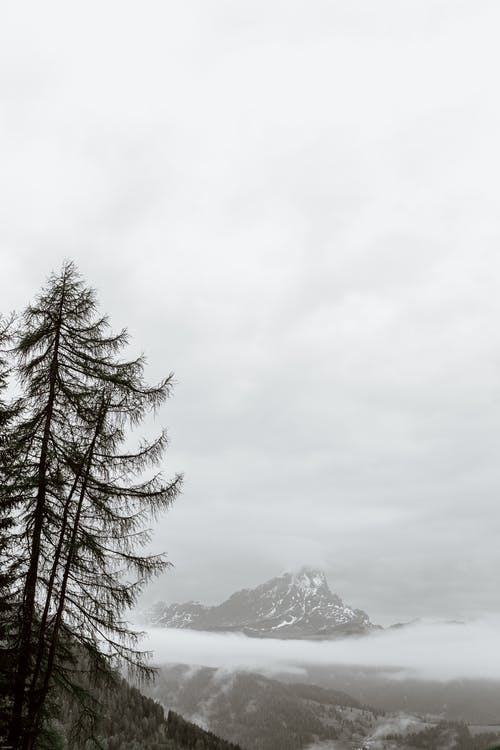 有关Copyspace, 健行, 冒险的免费素材图片