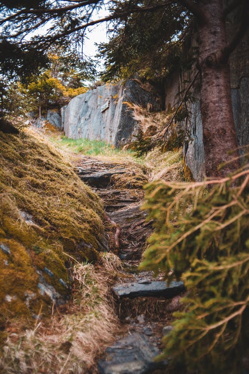 有关低角度, 健行, 冷静的免费素材图片