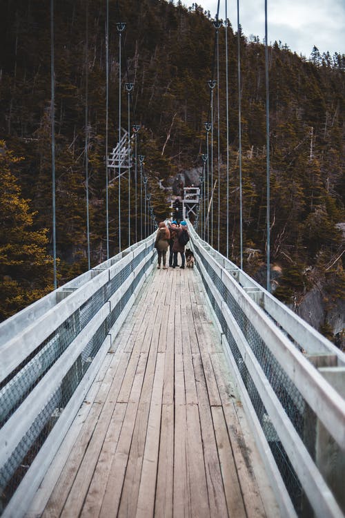 有关一起, 享受, 人行天桥的免费素材图片