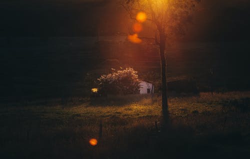 有关住, 公园, 冷静的免费素材图片