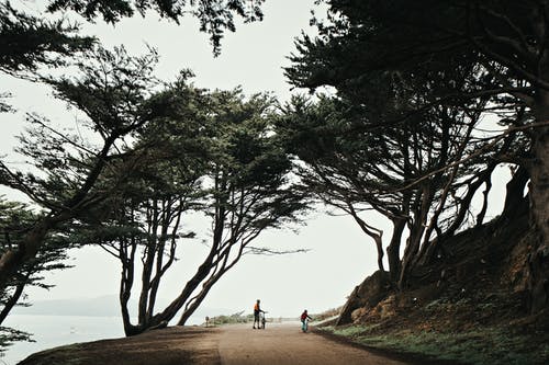 人们沿着海边的小路骑自行车 · 免费素材图片