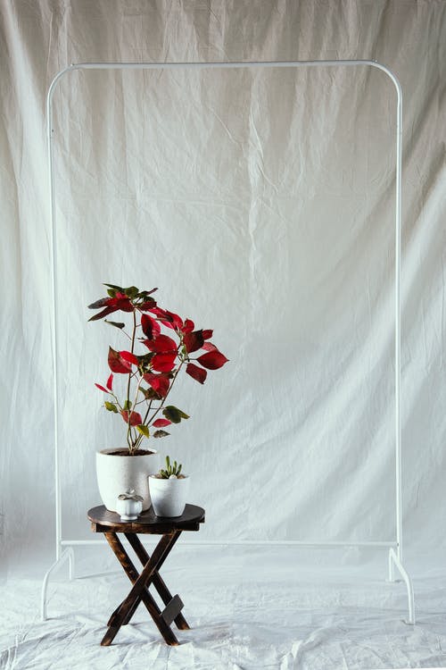 有关什锦的, 作文, 凳子的免费素材图片