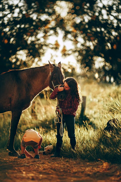 亲吻马的小女孩在牧场地 · 免费素材图片