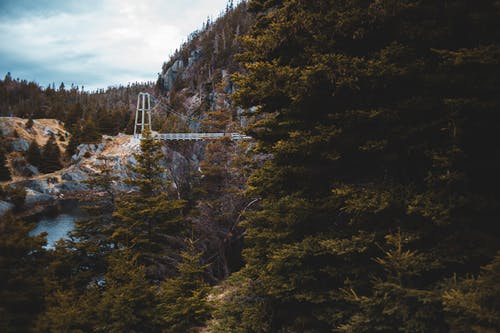 有关冷静, 原本, 和平的的免费素材图片