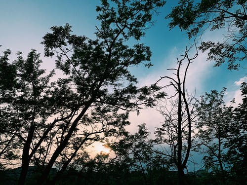 有关从下面, 低角度, 光的免费素材图片