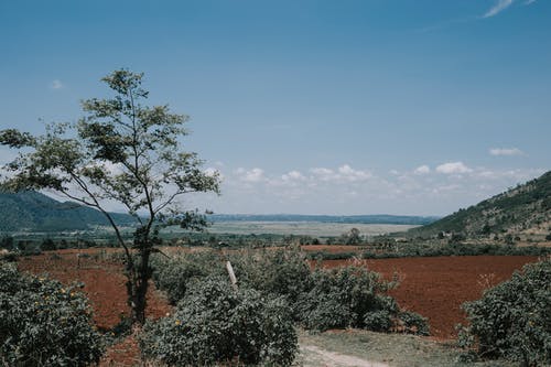 有关农艺学, 和平的, 和谐的免费素材图片