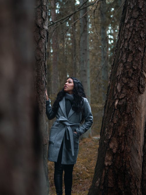 有关吠, 大衣, 天性的免费素材图片