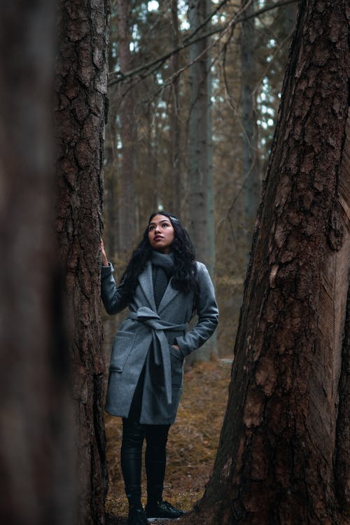 有关吠, 大衣, 天性的免费素材图片